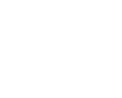 dişsan